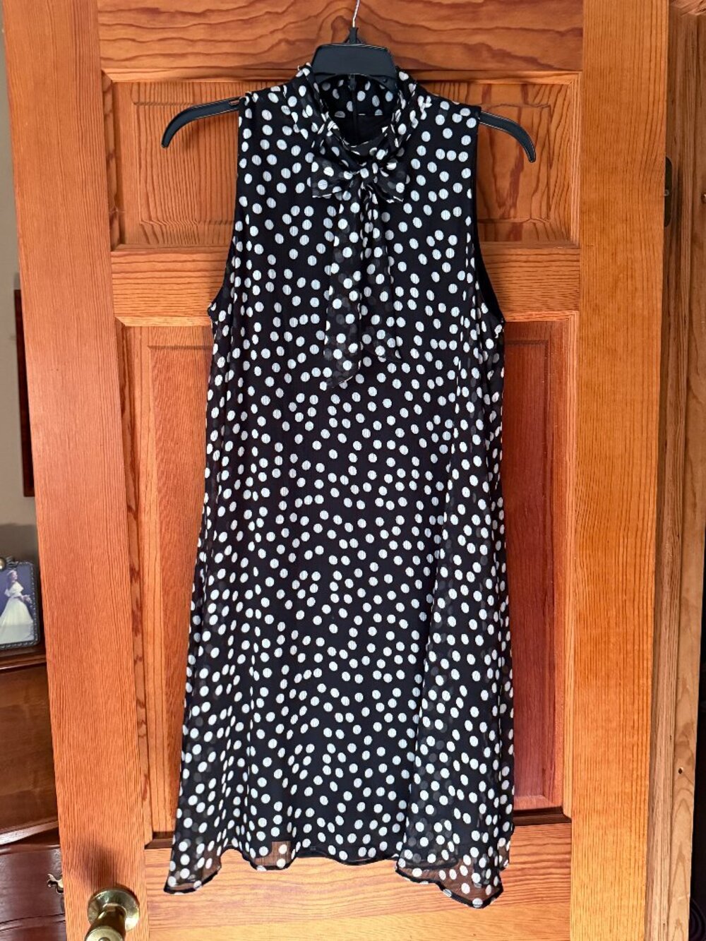 Calvin Klein Polka Dot Trapeze Dress (Size 8)